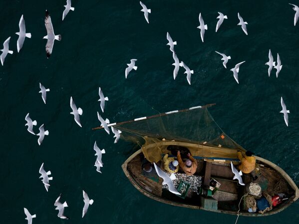 الصيادون وقت الصيد قبالة سواحل سيفاستوبل، القرم - سبوتنيك عربي
