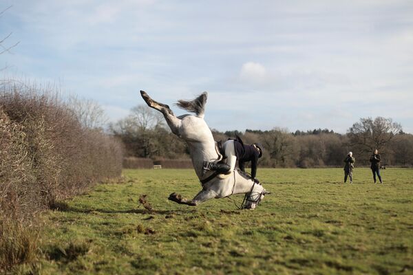 سقوط عضو Old Surrey Burstow وWest Kent Hunt لدى قفزه فوق سياج خلال سباق الخيل السنوي في تشيدينغستون، بريطانيا 26 ديسمبر/ كانون الأول 2017 - سبوتنيك عربي