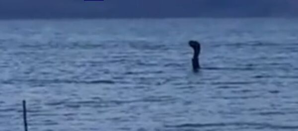 وحش بحيرة لوخ نس - سبوتنيك عربي