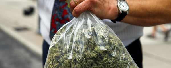 تدخين الماريجوانا - سبوتنيك عربي