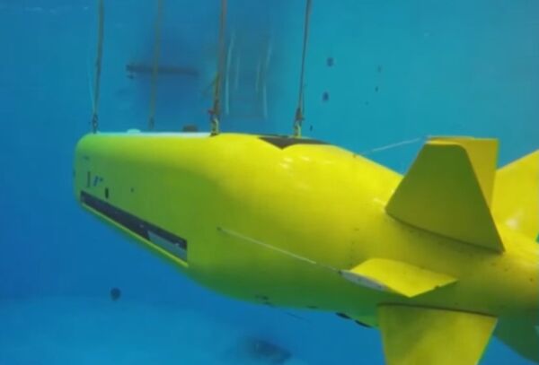 غواصة مسيرة - سبوتنيك عربي