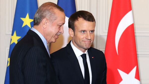 الرئيس الفرنسي إيمانويل ماكرون والرئيس التركي أردوغان في باريس، 5 يناير/ كانون الثاني2017 - سبوتنيك عربي