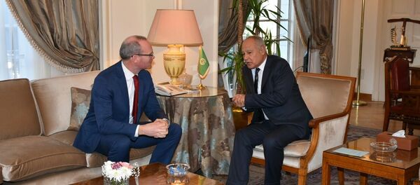 أمين عام جامعة الدول العربية أحمد أبو الغيط ووزير الخارجية الأيرلندي - سبوتنيك عربي