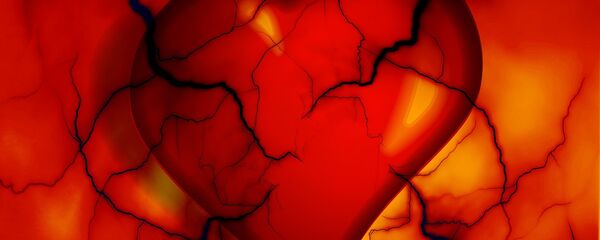 القلب - سبوتنيك عربي