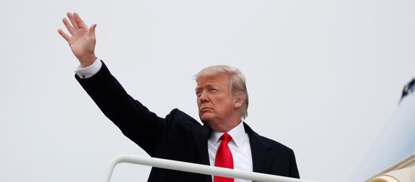 الرئيس الأمريكي دونالد ترامب - سبوتنيك عربي