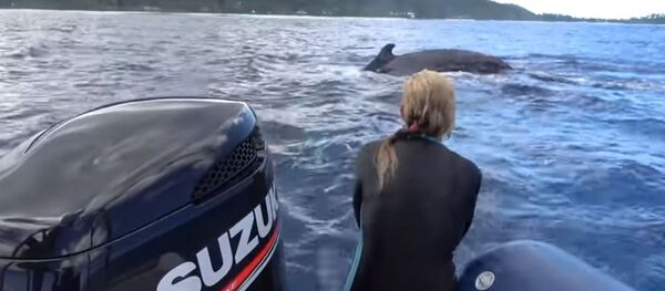 حوت ينقذ سباحة حوت ينقذ سباحة - سبوتنيك عربي