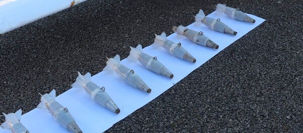 صورة للطائرة بدون طيار التي حاولت استهداف قاعدة الحميميم - سبوتنيك عربي