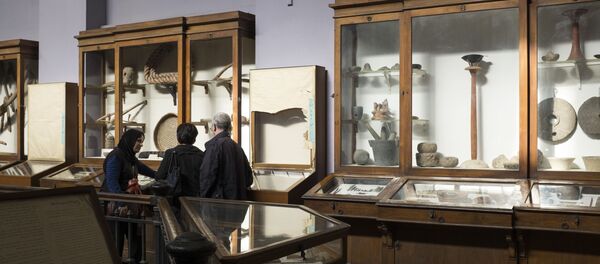 الزوار في متحف القاهرة المصري - سبوتنيك عربي