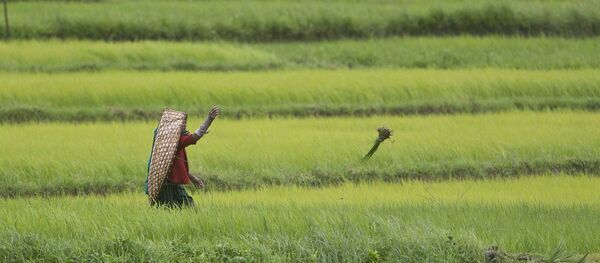 ريف الهند - سبوتنيك عربي