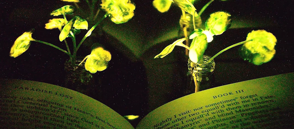 نباتات مضيئة - سبوتنيك عربي