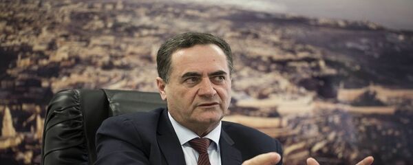 وزير المواصلات الإسرائيلي يسرائيل كاتس - سبوتنيك عربي