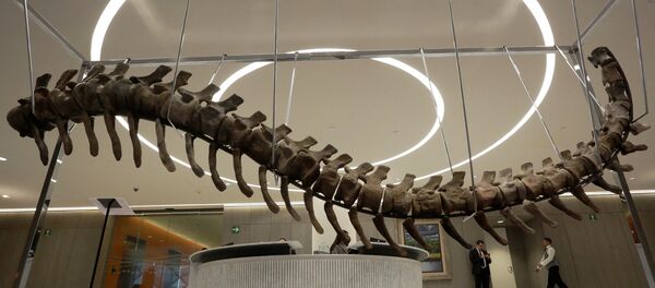 ذيل ديناصور - سبوتنيك عربي