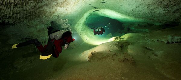 المكسيك - سبوتنيك عربي