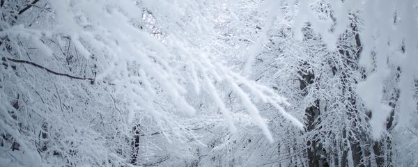 عاصفة ثلجية عاصفة ثلجية - سبوتنيك عربي