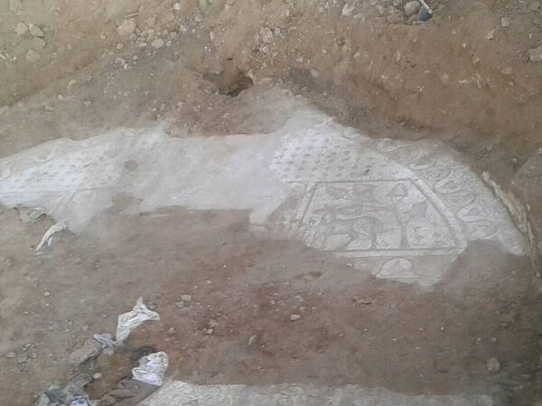العثور على لوحات فسيفسائية تعود للعصر البيزنطي داخل موقع أثري ديني في ريف حماة الشرقي، سوريا العثور على لوحات فسيفسائية تعود للعصر البيزنطي داخل موقع أثري ديني في ريف حماة الشرقي، سوريا - سبوتنيك عربي