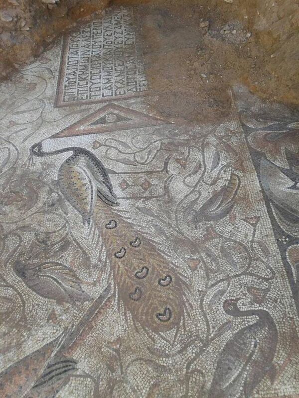 العثور على لوحات فسيفسائية تعود للعصر البيزنطي داخل موقع أثري ديني في ريف حماة الشرقي، سوريا العثور على لوحات فسيفسائية تعود للعصر البيزنطي داخل موقع أثري ديني في ريف حماة الشرقي، سوريا - سبوتنيك عربي