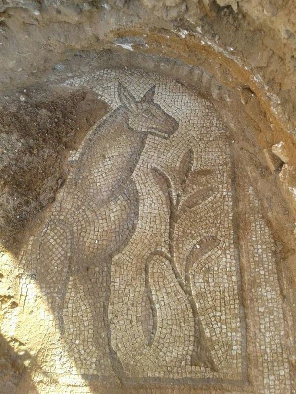العثور على لوحات فسيفسائية تعود للعصر البيزنطي داخل موقع أثري ديني في ريف حماة الشرقي، سوريا العثور على لوحات فسيفسائية تعود للعصر البيزنطي داخل موقع أثري ديني في ريف حماة الشرقي، سوريا - سبوتنيك عربي