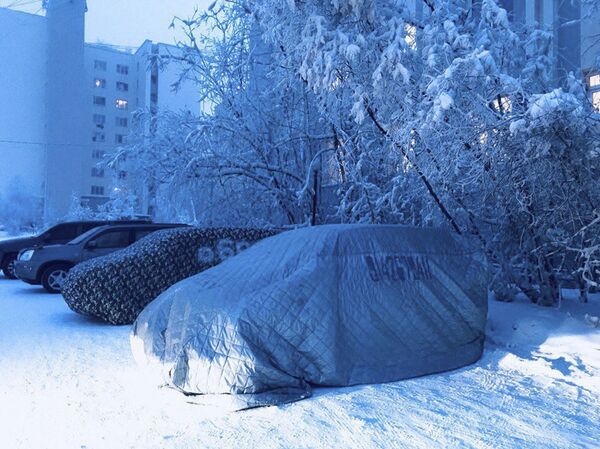 المرائب النسيجية - سبوتنيك عربي