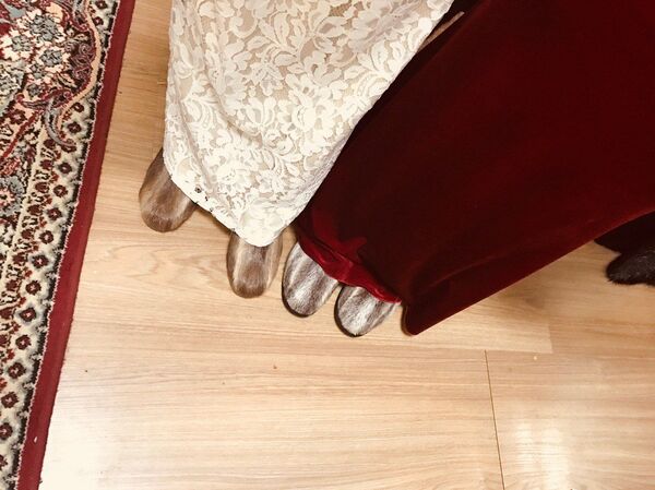 حذاء الأونتي - سبوتنيك عربي