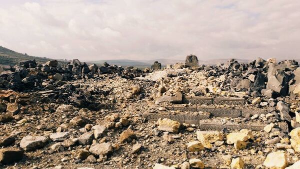 محميات أثرية في عفرين - سبوتنيك عربي