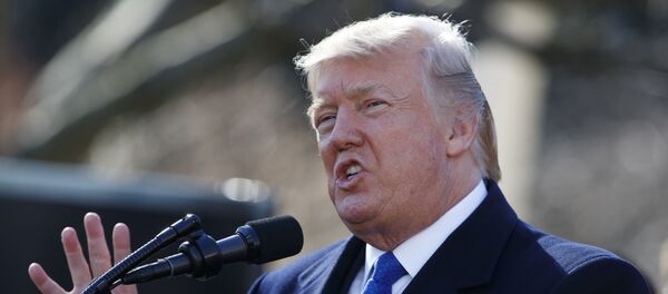 الرئيس الأمريكي دونالد ترامب - سبوتنيك عربي