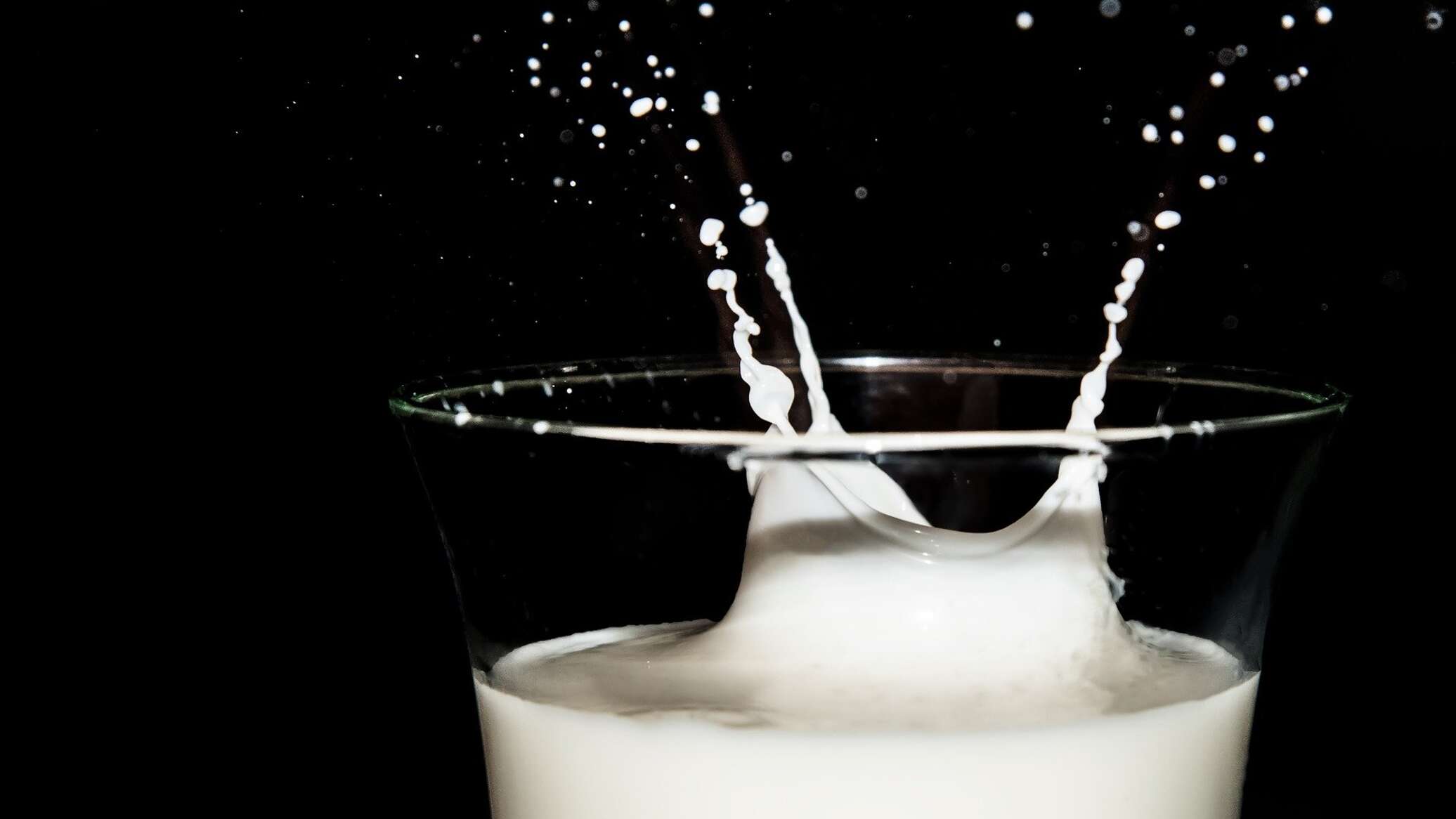 علماء روس يبتكرون "حليبا" مستخلصا من نفايات صناعة النبيذ