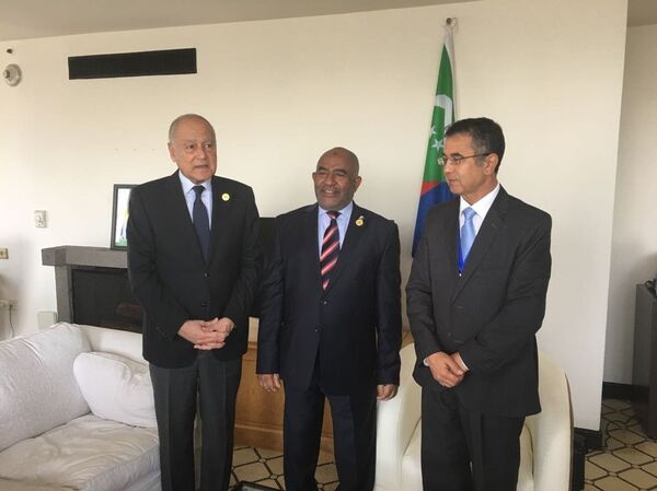 أمين عام جامعة الدول العربية أحمد أبو الغيط مع رئيس جمهورية جزر القمر المتحدة - سبوتنيك عربي