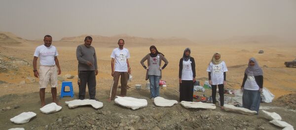 أعضاء فريق اكتشاف الديناصور منصوراصورس - سبوتنيك عربي