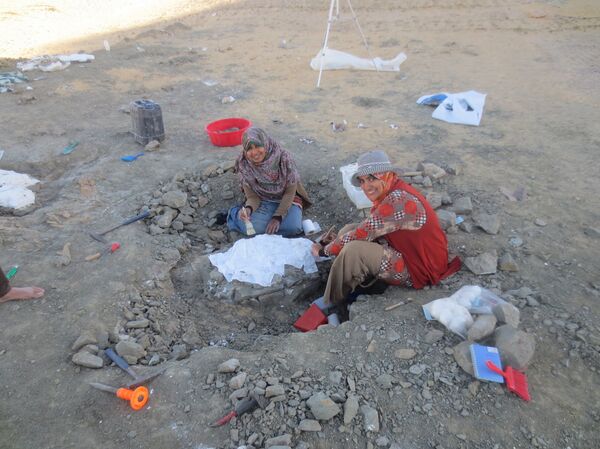 الفريق البحثي مكتشف منصوراصورس - سبوتنيك عربي