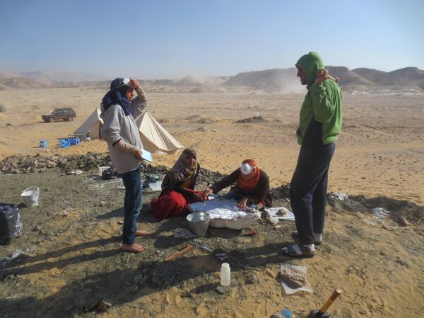 الفريق البحثي مكتشف ديناصور منصوراصورس - سبوتنيك عربي