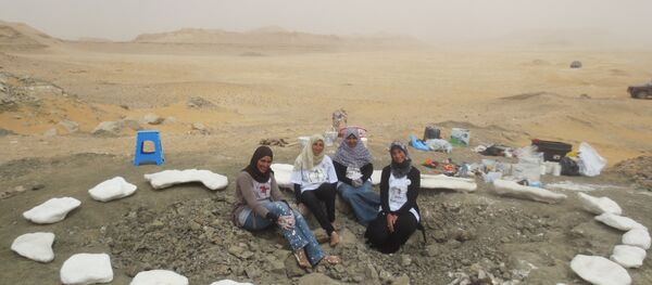 الفريق البحثي مكتشف ديناصور منصوراصورس - سبوتنيك عربي