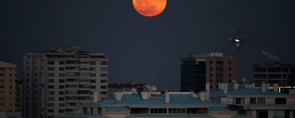 أنقرة أنقرة - سبوتنيك عربي