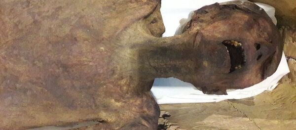 صراخ مومياء يعتقد أنها لابن الملك رمسيس الثالث من عصر الأسرة 20 - سبوتنيك عربي