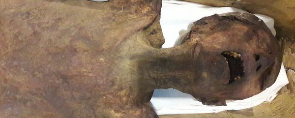 صراخ مومياء يعتقد أنها لابن الملك رمسيس الثالث من عصر الأسرة 20 - سبوتنيك عربي