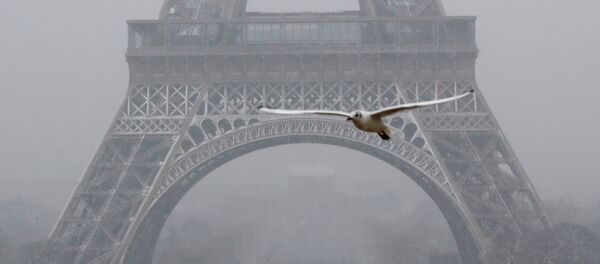 برج إيفل برج إيفل - سبوتنيك عربي