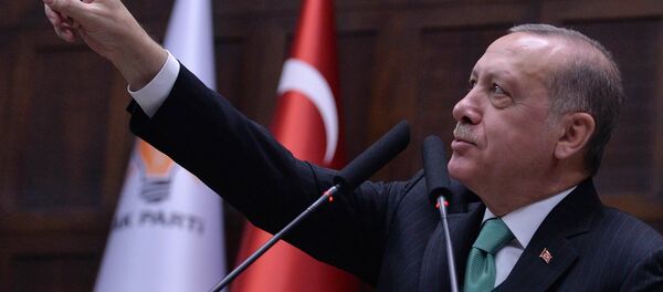 الرئيس التركي رجب طيب إردوغان - سبوتنيك عربي