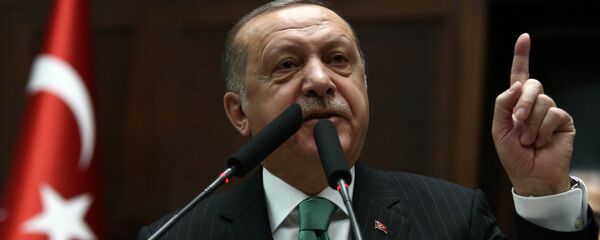 الرئيس التركي رجب طيب إردوغان - سبوتنيك عربي