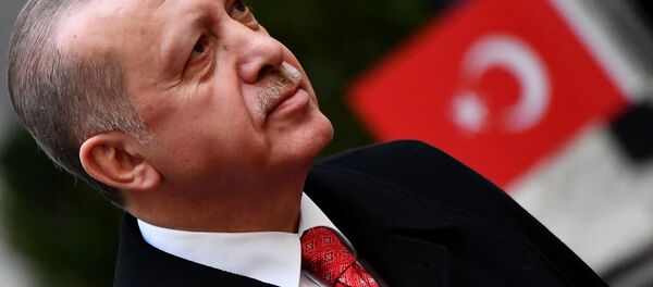 الرئيس التركي رجب طيب إردوغان - سبوتنيك عربي