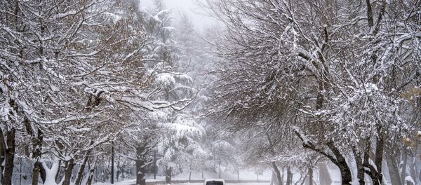 صورة أرشيفية لعاصفة ثلجية ي المغرب 21 يناير/ كانون الثاني 2018 صورة أرشيفية لعاصفة ثلجية ي المغرب 21 يناير/ كانون الثاني 2018 - سبوتنيك عربي