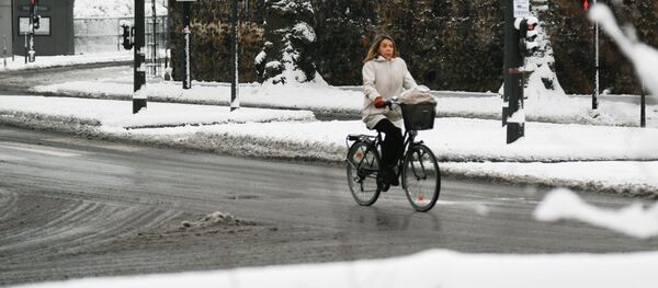 باريس بعد سقوط ثلوج كثيفة، فرنسا - سبوتنيك عربي