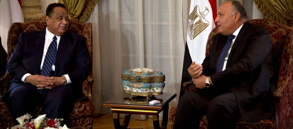 لقاء سامح شكري وإبراهيم الغندور 8 فبراير 2018 - سبوتنيك عربي