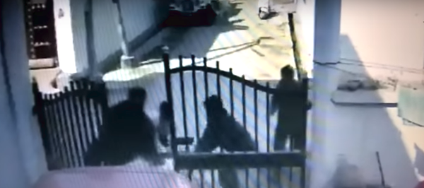 شجاعة زوجة - سبوتنيك عربي