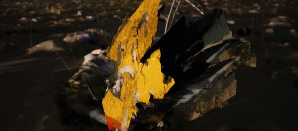 حادثة سقوط الطائرة الروسية أن-148 - أجزاء من الطائرة المنكوبة في ضواحي موسكو - سبوتنيك عربي