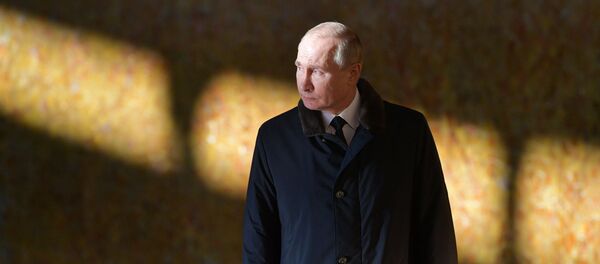 الرئيس الروسي فلاديمير بوتين - سبوتنيك عربي