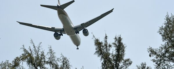 طائرة بوينغ - سبوتنيك عربي