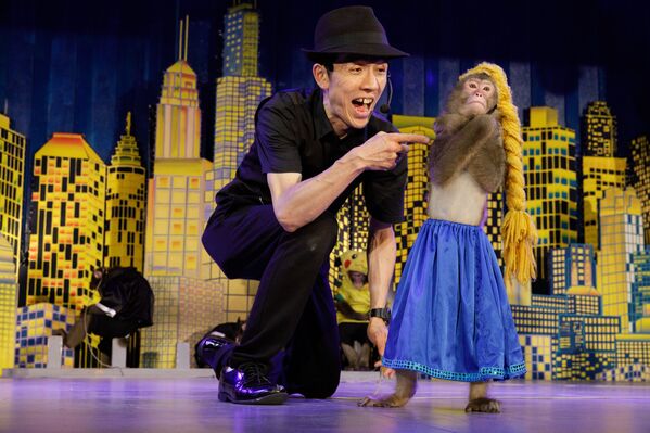 مسابقة صور الصحافة العالمية لعام 2018 - صورة بعنوان لا أخاف أكثر من ذلك، للمصور جاسبر دويست، في فئة التصوير أخبار الطبيعة - سبوتنيك عربي