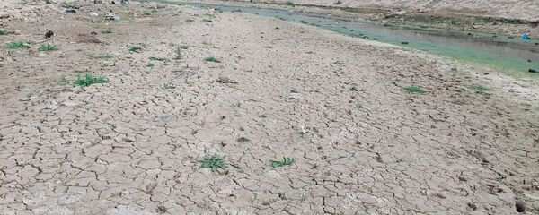 نهر دجلة - سبوتنيك عربي