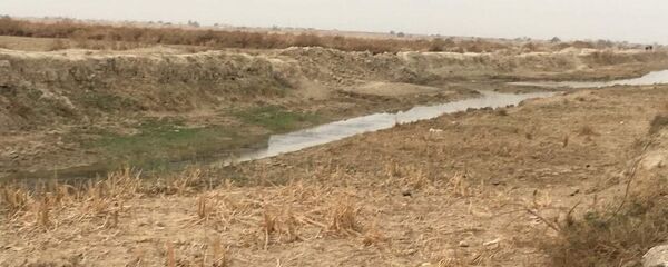 نهر دجلة - سبوتنيك عربي