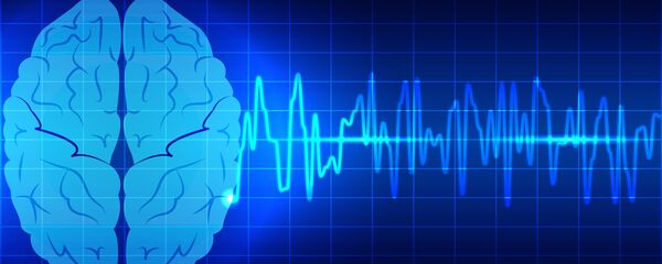 الدماغ البشري - سبوتنيك عربي