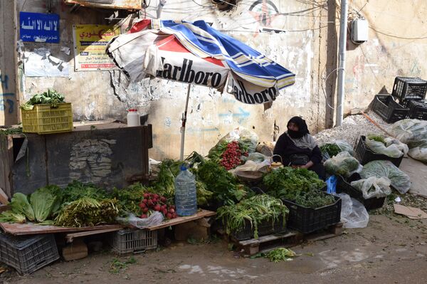 فلسطينيو لبنان - سبوتنيك عربي